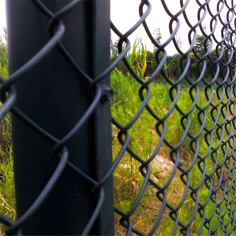 籃球場(chǎng)地圍網(wǎng)圖片3 籃球場(chǎng)地圍網(wǎng)圖片3