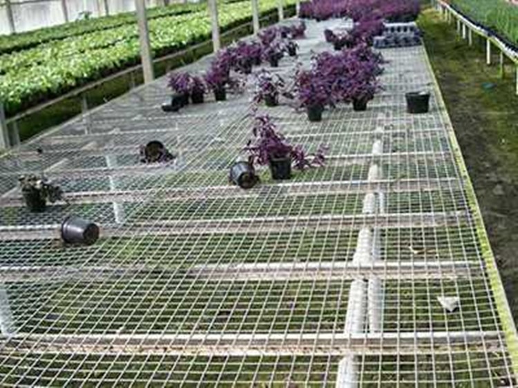 苗床網(wǎng)片圖片1 苗床網(wǎng)片圖片1