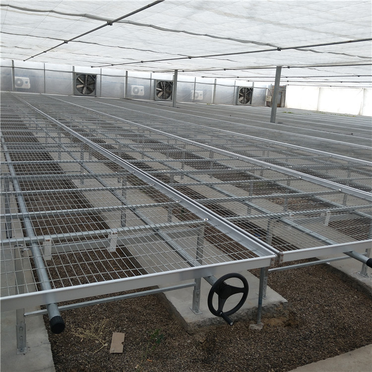 苗床網(wǎng)片圖片3 苗床網(wǎng)片圖片3