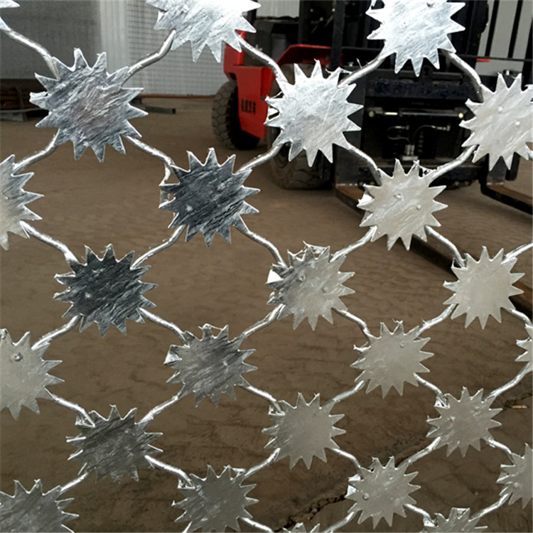 雪花刺片隔離網(wǎng)圖片2 雪花刺片隔離網(wǎng)圖片2