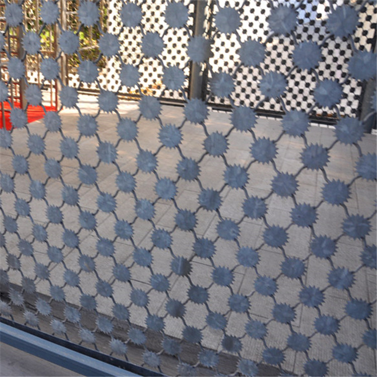 雪花刺片隔離網(wǎng)圖片3 雪花刺片隔離網(wǎng)圖片3