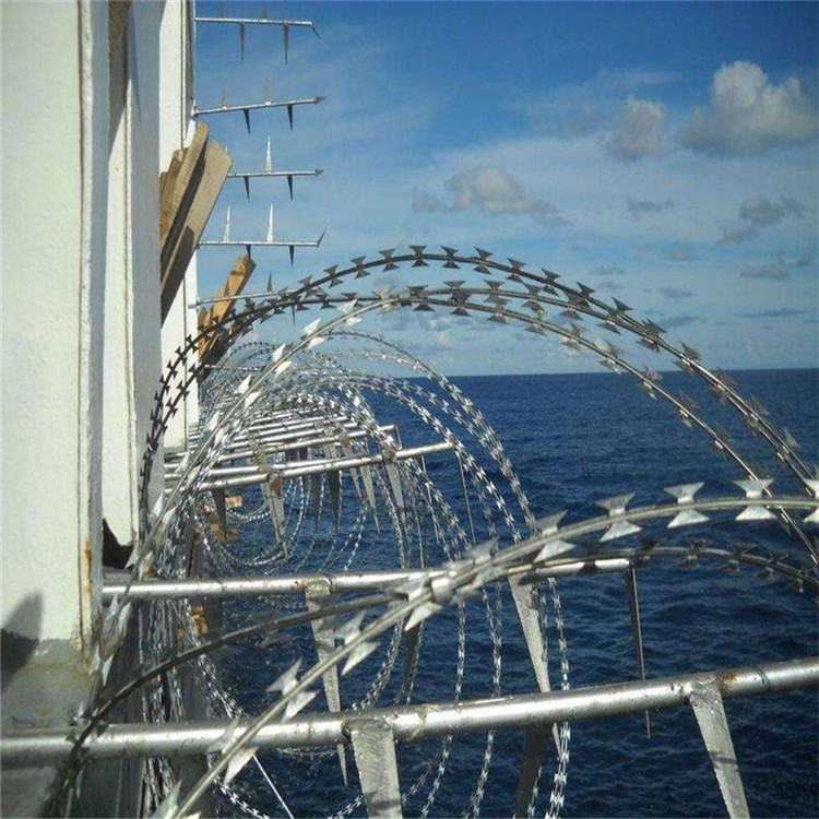 刀片刺網圖片1 刀片刺網圖片1