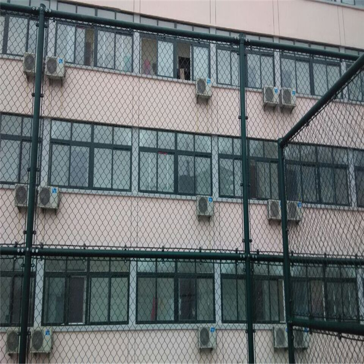學(xué)?；@球場圍網(wǎng)圖片2