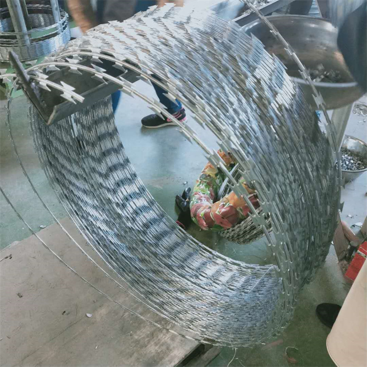 鍍鋅刺絲滾籠圖片2 鍍鋅刺絲滾籠圖片2